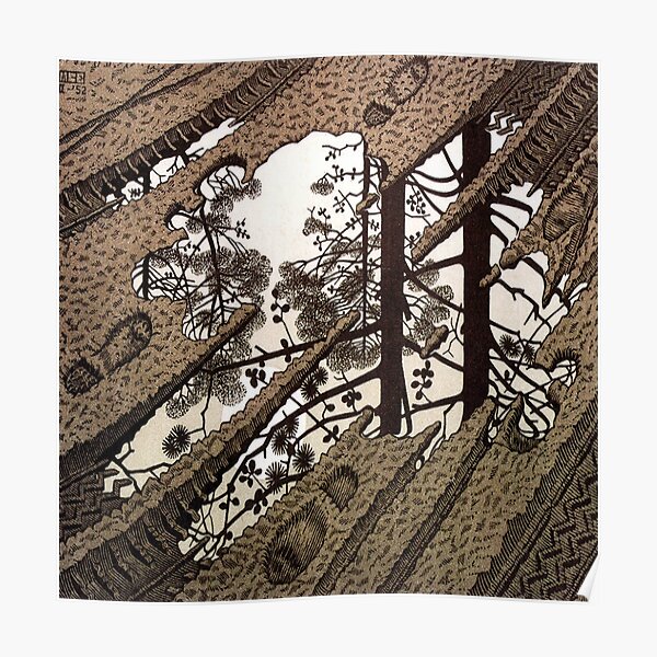 Escher Poster