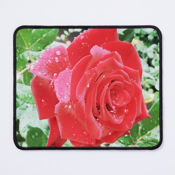 Item preview, Beautiful red rose after the rain  designed and sold by helenkaiy.