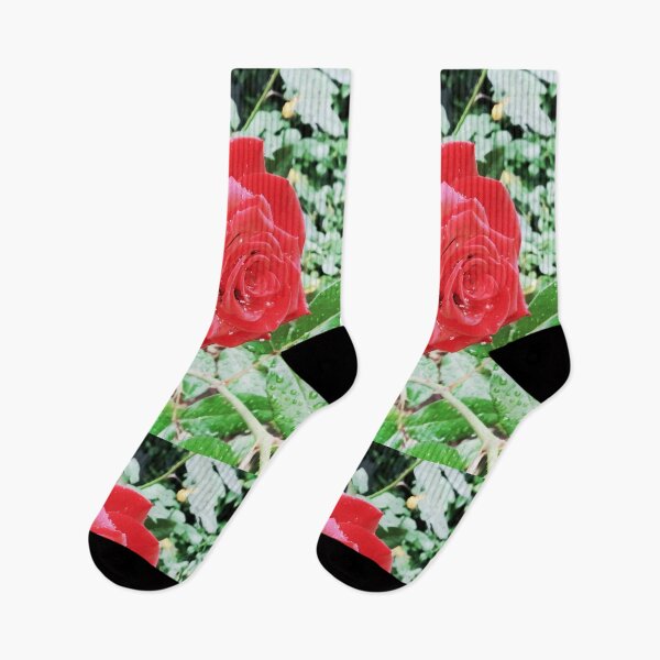 Item preview, Beautiful red rose after the rain  designed and sold by helenkaiy.