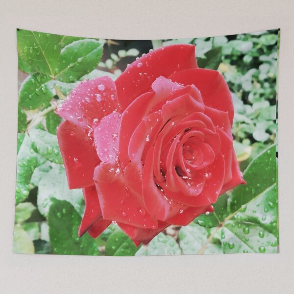 Item preview, Beautiful red rose after the rain  designed and sold by helenkaiy.