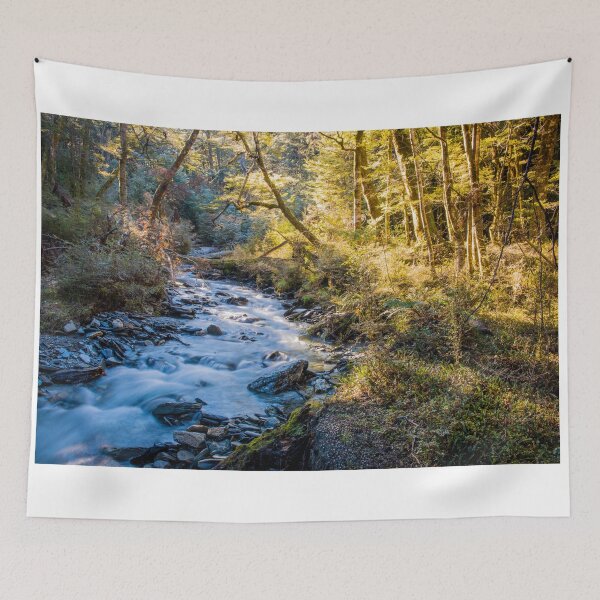 Item preview, Forest Light designed and sold by Adrian Alford Photography.