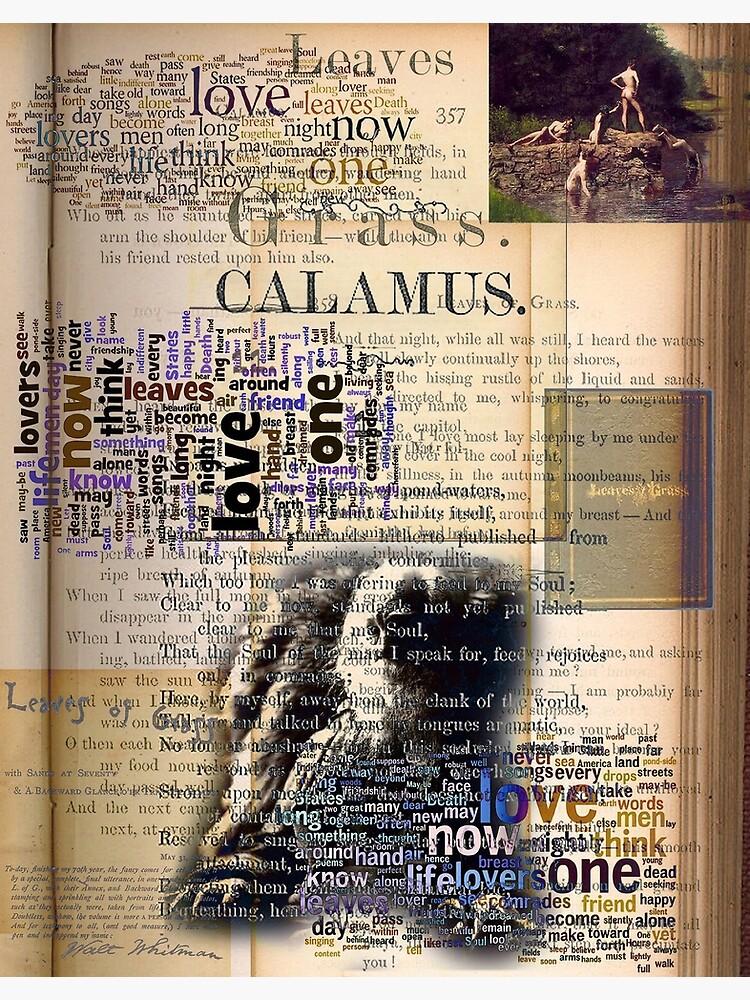 "Calamus by Walt Whitman" Poster for Sale by ArthurDurkeeArt Redbubble