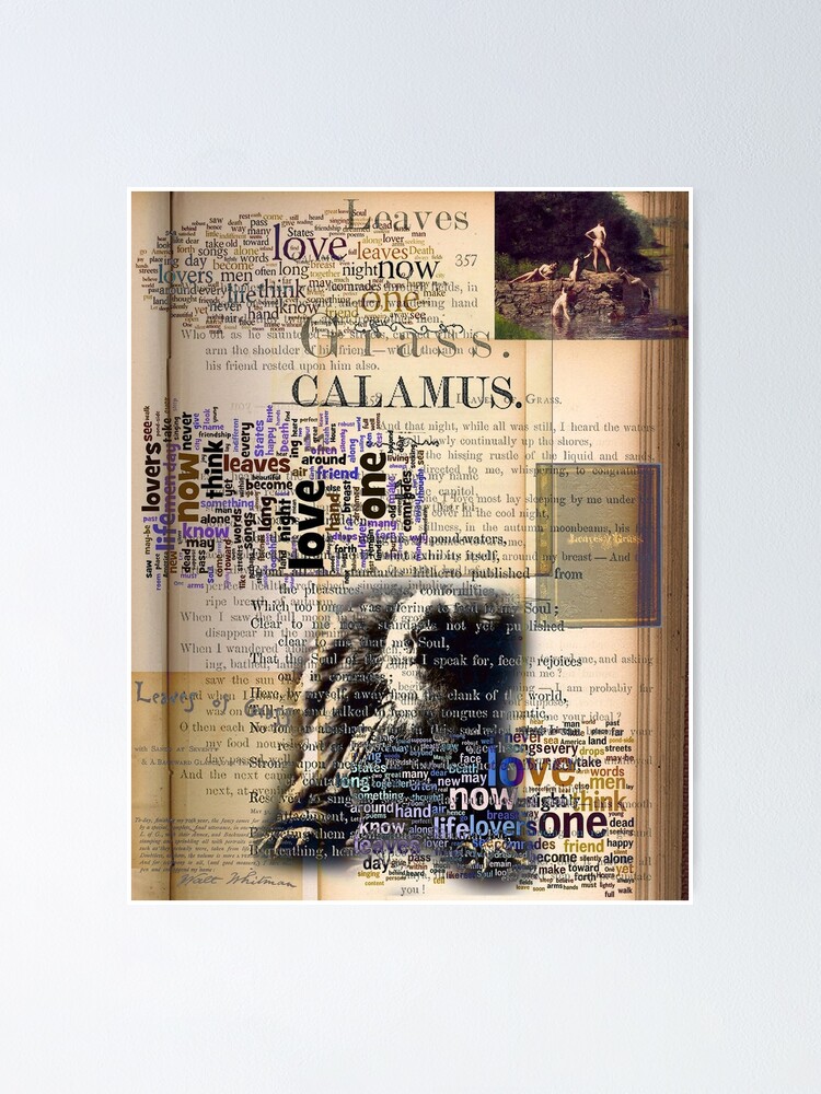 "Calamus by Walt Whitman" Poster for Sale by ArthurDurkeeArt Redbubble