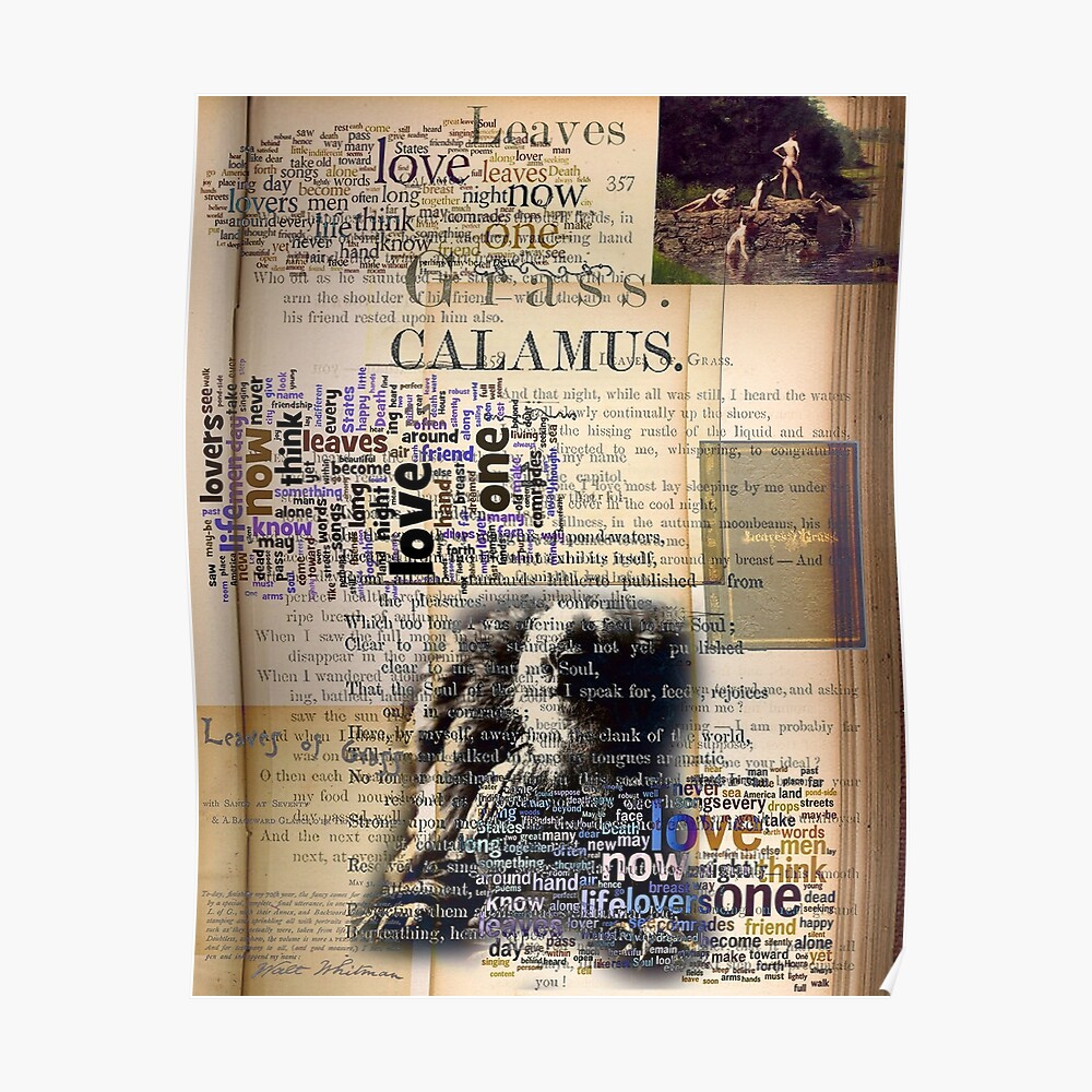 "Calamus by Walt Whitman" Poster by ArthurDurkeeArt Redbubble