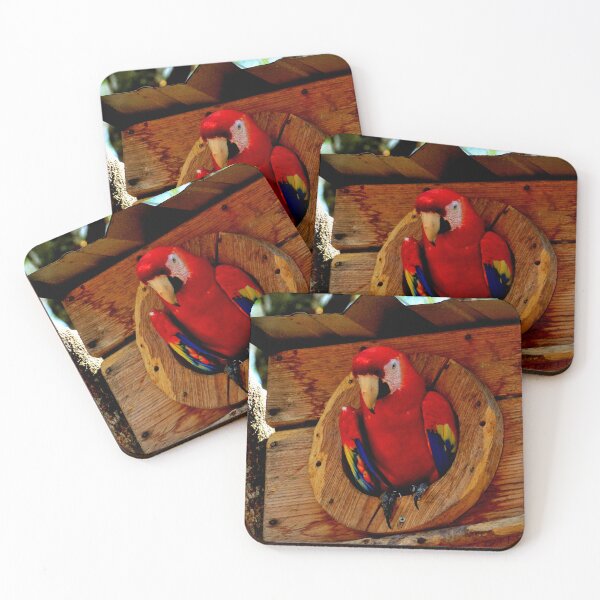 Item preview, Large parrot, Copán Ruinas site in Honduras designed and sold by franck380.