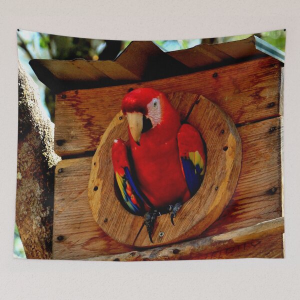 Item preview, Large parrot, Copán Ruinas site in Honduras designed and sold by franck380.