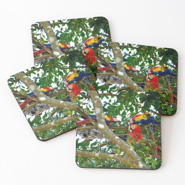 Item preview, Large parrot, Copán Ruinas site in Honduras designed and sold by franck380.