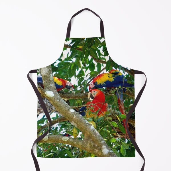 Item preview, Large parrot, Copán Ruinas site in Honduras designed and sold by franck380.
