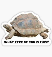 What Type of Dog is This? Sticker