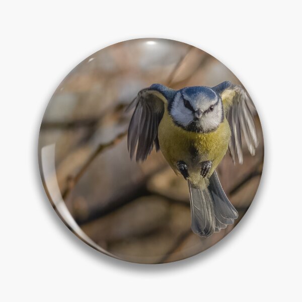 Item preview, blue tit in flight designed and sold by AliMarleyPhoto.