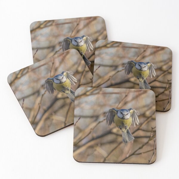 Item preview, blue tit in flight designed and sold by AliMarleyPhoto.