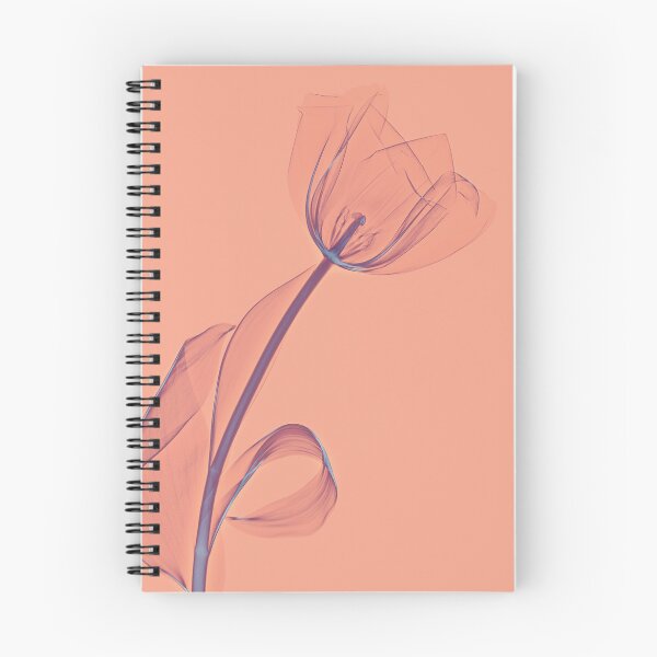 Item preview, Flower in pastel orange and light blue, tulip designed and sold by Lanuma.