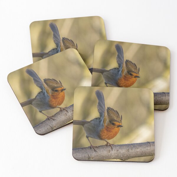 Item preview, Robin take off designed and sold by AliMarleyPhoto.