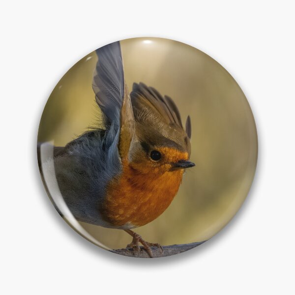 Item preview, Robin take off designed and sold by AliMarleyPhoto.