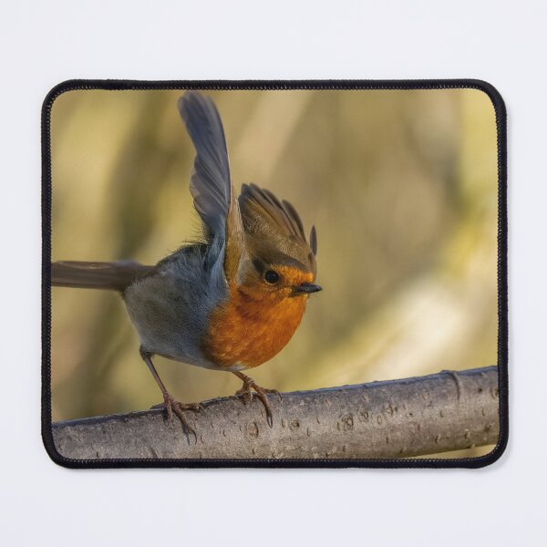 Item preview, Robin take off designed and sold by AliMarleyPhoto.