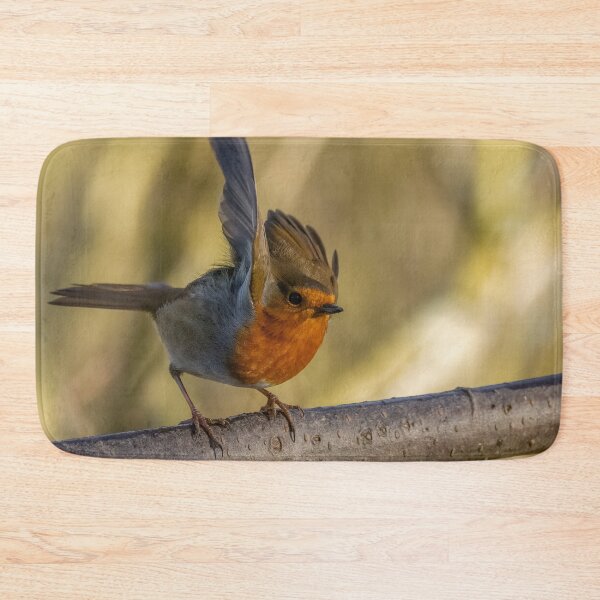 Item preview, Robin take off designed and sold by AliMarleyPhoto.