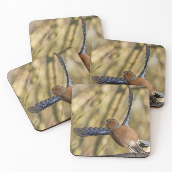 Item preview, Chaffinch take off designed and sold by AliMarleyPhoto.