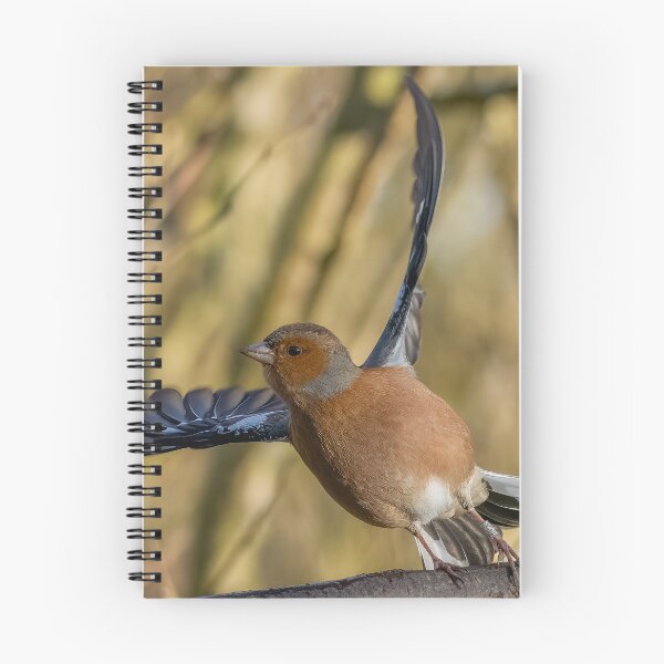 Item preview, Chaffinch take off designed and sold by AliMarleyPhoto.