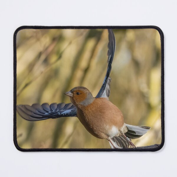 Item preview, Chaffinch take off designed and sold by AliMarleyPhoto.