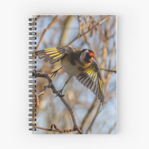 Item preview, Goldfinch take off designed and sold by AliMarleyPhoto.