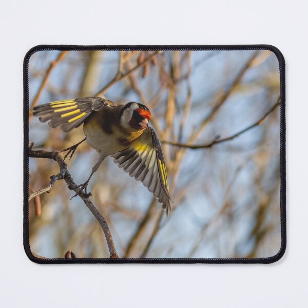 Item preview, Goldfinch take off designed and sold by AliMarleyPhoto.