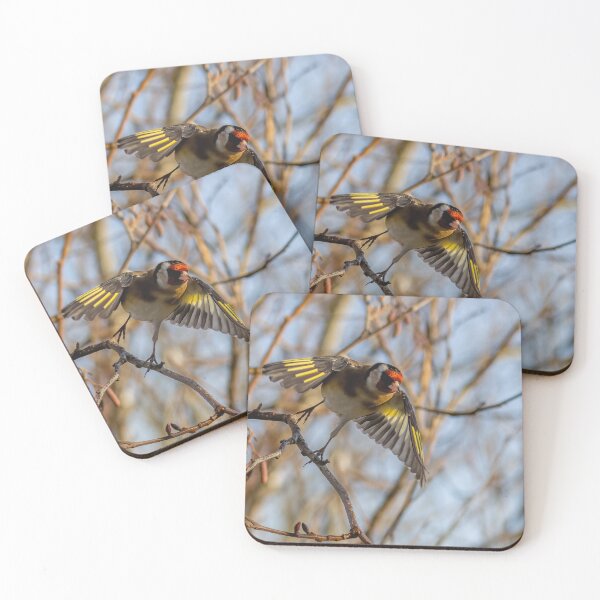 Item preview, Goldfinch take off designed and sold by AliMarleyPhoto.