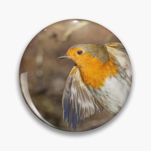 Item preview, Robin lift off designed and sold by AliMarleyPhoto.