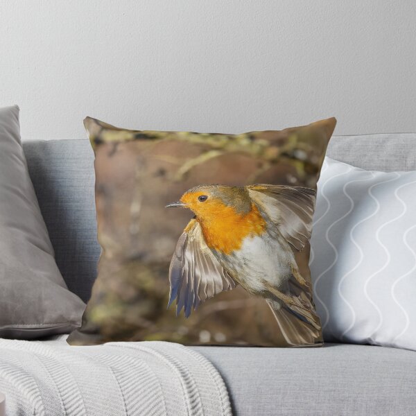 Item preview, Robin lift off designed and sold by AliMarleyPhoto.
