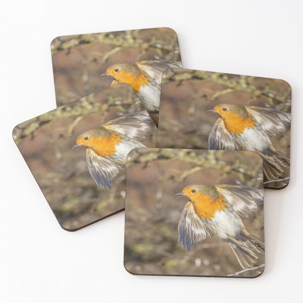 Item preview, Robin lift off designed and sold by AliMarleyPhoto.