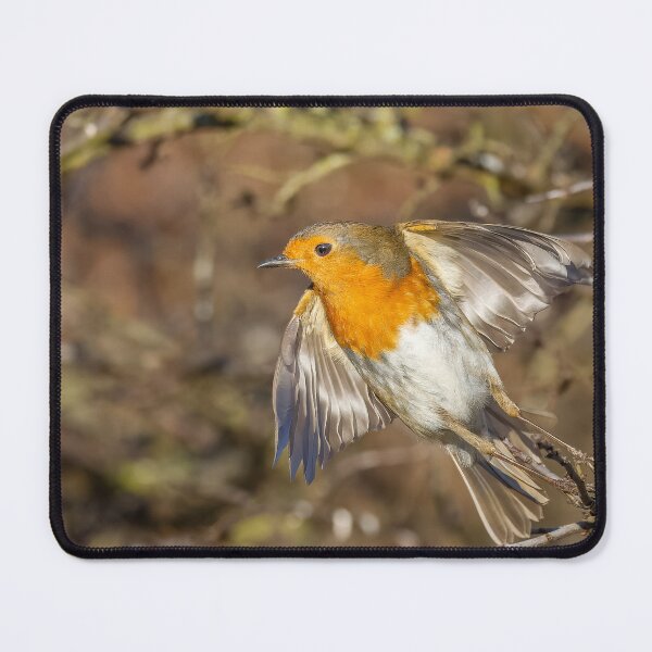 Item preview, Robin lift off designed and sold by AliMarleyPhoto.