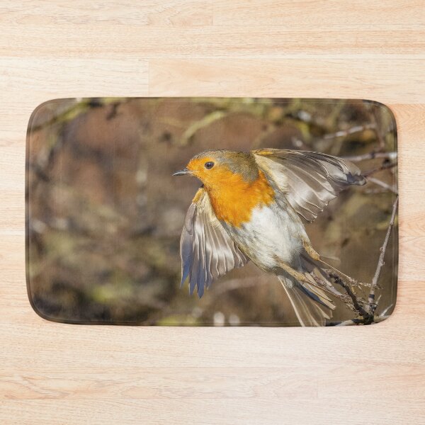 Item preview, Robin lift off designed and sold by AliMarleyPhoto.
