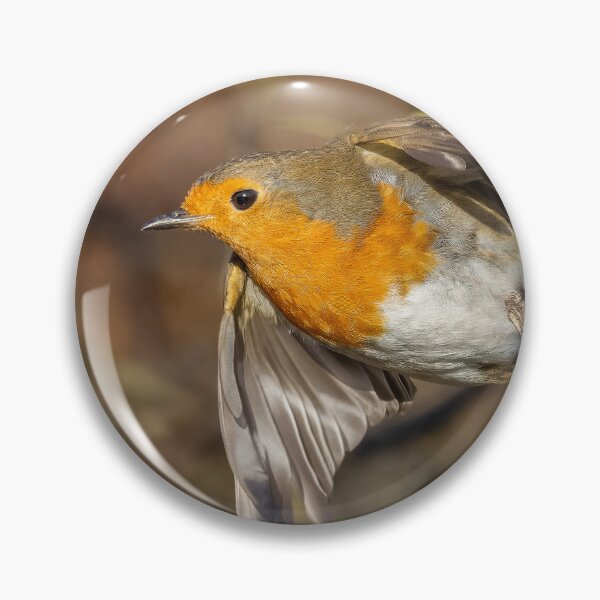 Item preview, robin redbreast take off designed and sold by AliMarleyPhoto.