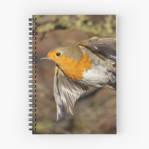 Item preview, robin redbreast take off designed and sold by AliMarleyPhoto.