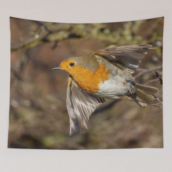 Item preview, robin redbreast take off designed and sold by AliMarleyPhoto.