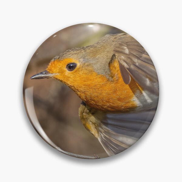Item preview, robin flight designed and sold by AliMarleyPhoto.