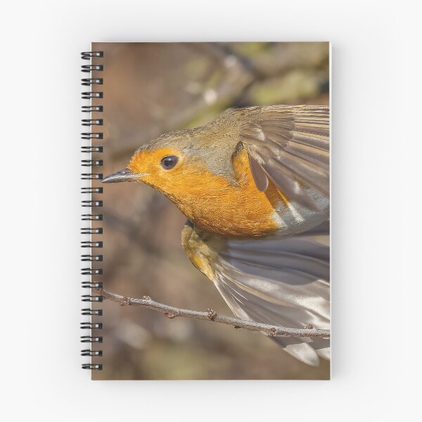 Item preview, robin flight designed and sold by AliMarleyPhoto.