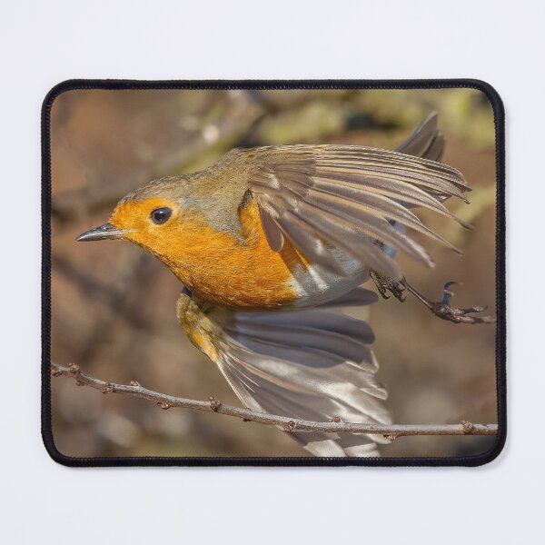 Item preview, robin flight designed and sold by AliMarleyPhoto.