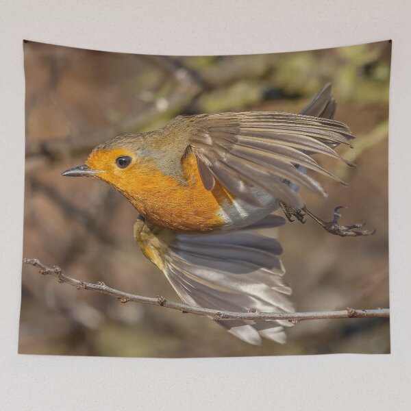 Item preview, robin flight designed and sold by AliMarleyPhoto.