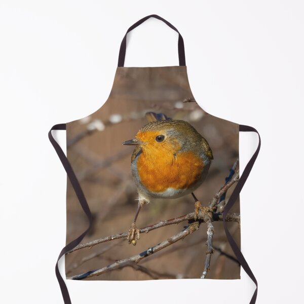 Item preview, robin on a branch designed and sold by AliMarleyPhoto.