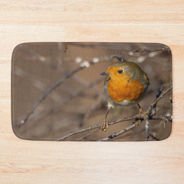 Item preview, robin on a branch designed and sold by AliMarleyPhoto.