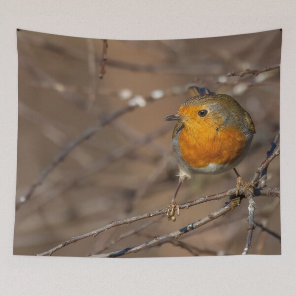 Item preview, robin on a branch designed and sold by AliMarleyPhoto.