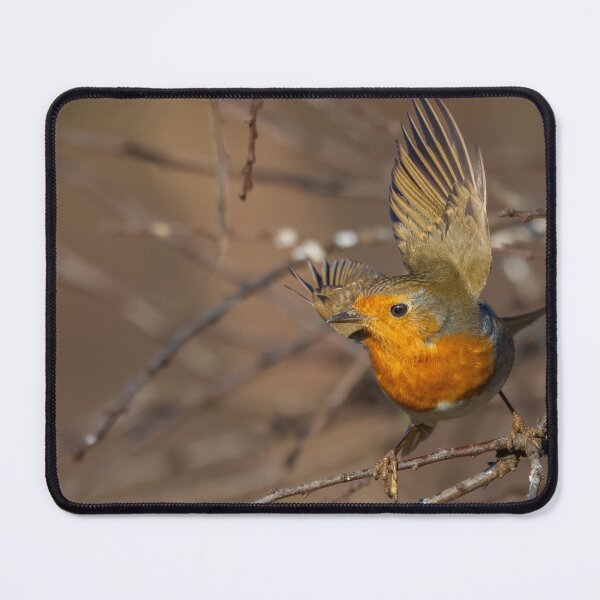 Item preview, robin wings designed and sold by AliMarleyPhoto.