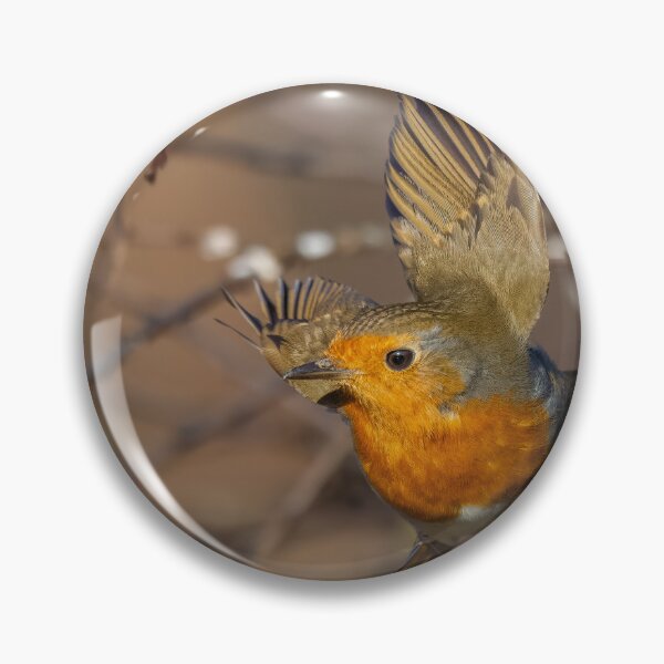 Item preview, robin wings designed and sold by AliMarleyPhoto.