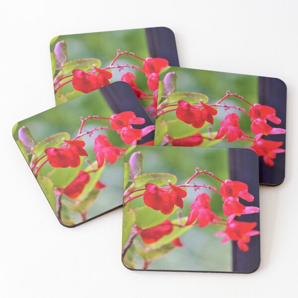 Item preview, Dragon Wing Begonia designed and sold by Fitra  Arts.