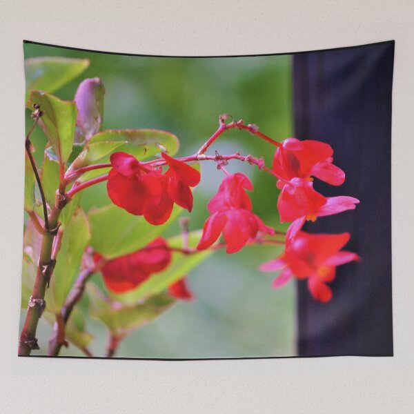 Item preview, Dragon Wing Begonia designed and sold by Fitra  Arts.