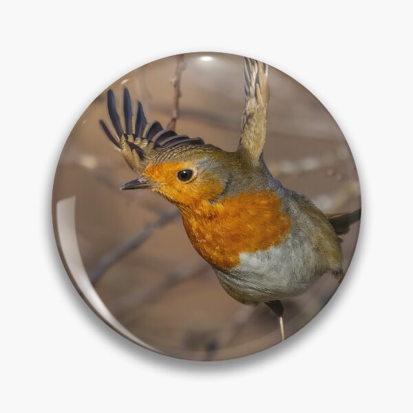Item preview, robin taking off designed and sold by AliMarleyPhoto.