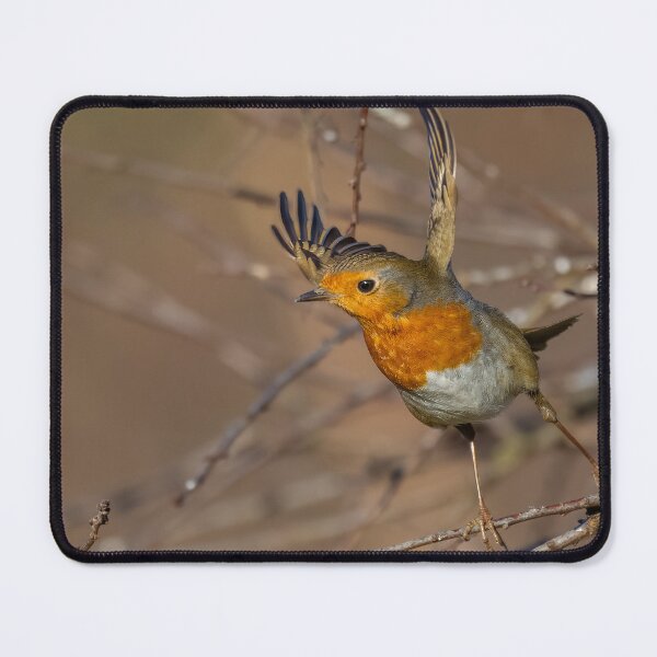 Item preview, robin taking off designed and sold by AliMarleyPhoto.