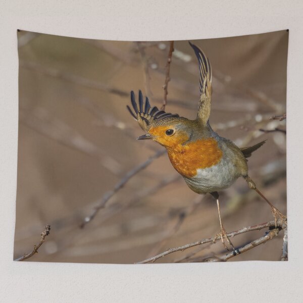 Item preview, robin taking off designed and sold by AliMarleyPhoto.