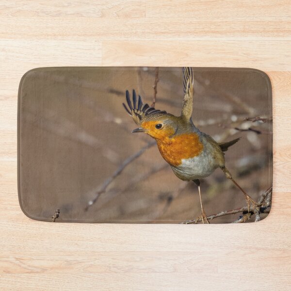 Item preview, robin taking off designed and sold by AliMarleyPhoto.