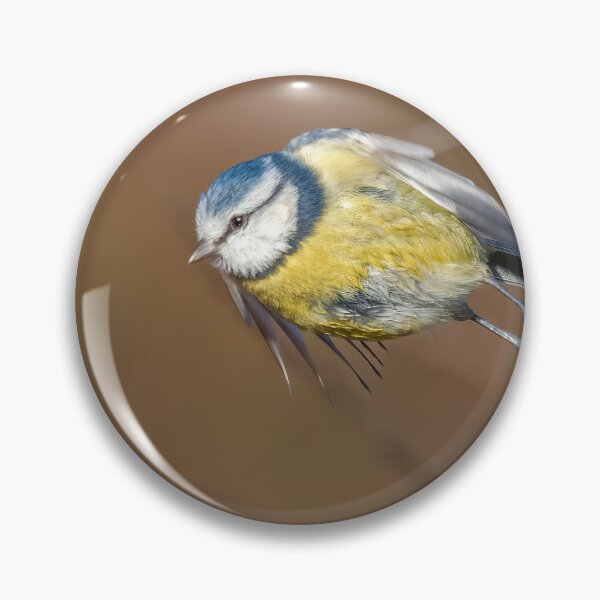 Item preview, Blue tit take off designed and sold by AliMarleyPhoto.